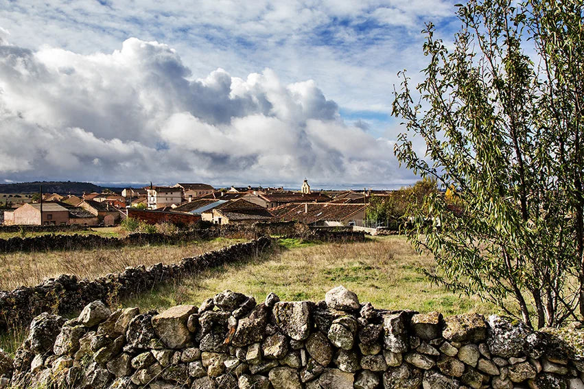 Vista de La Matilla con tejados, campanario, campos y muros de piedra.